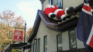 冒険家の剥製コレクションがズラリ