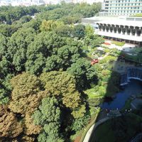 客室から日本庭園が見えます