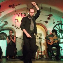 フラメンコ・ショー