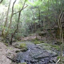 ここまではすんなりいけましたが、この後千畳平までは迷いました