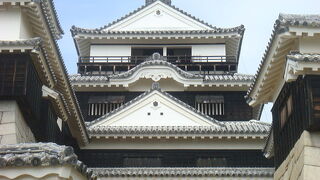 日本三大連立式平山城のひとつ。