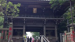 参拝を楽しめるものがたくさん。