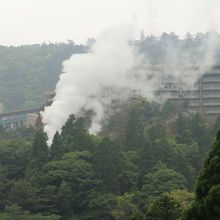 湯気の上がりかたが勢いがいいです。
