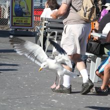店舗外の雰囲気