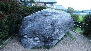 大きな石の亀です