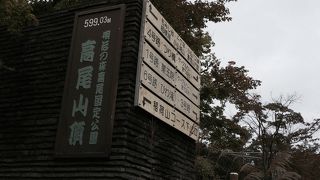 1号路は犬連れも