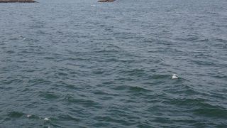 ワイキキビーチから釣りのポイントまで風光明媚な海岸