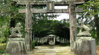 山田の藤が有名な『山田日吉神社』