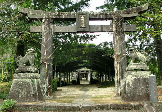 山田の藤が有名な『山田日吉神社』