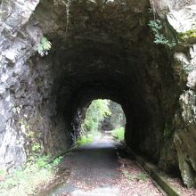 ゴツゴツ感漂うトンネル