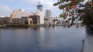 のんびりしています。