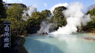 別府地獄めぐり　白池地獄