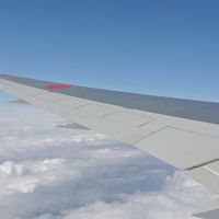 最後まで沖縄を満喫後、帰宅