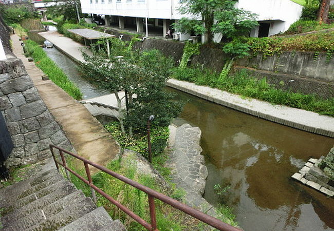 水際緑化モデルとして整備された『高瀬裏川水際緑地』