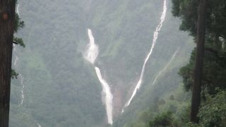 Ｖ字状に見えたらレア体験