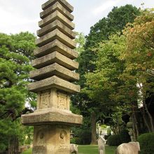 秋を感じながらの庭(崖)を散策しました。