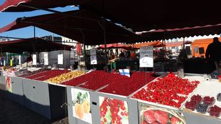 見て食べて楽しい市場