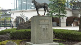 エンジョイ！東京競馬場、競馬以外もいっぱい楽しめるよ。