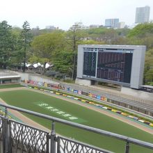 パドックを覗いてみました