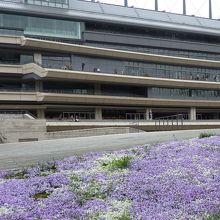 場内には春の香りがいっぱいです