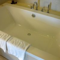 大きなバスタブは日本人好みですね