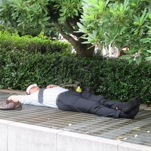 リラックス〜〜〜