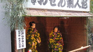 大円寺の菊まつり