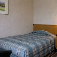 最近すっかり見なくなった古典的なベッドカバーです