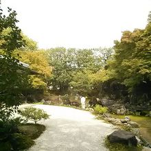 横から見たお庭