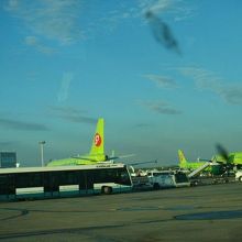 色が鮮やかな黄緑色なので、目立ちます