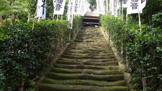 茅葺き屋根が落ち着きます。