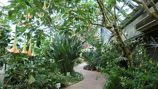 こじんまりした植物園