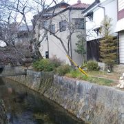 やっぱりお花のある季節がおススメの小道