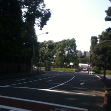 外苑内の緑と道路