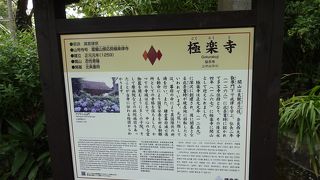 いいのは名前だけ？？