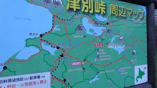 動物飛び出し注意