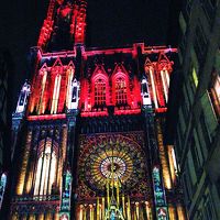 ノートルダム大聖堂の光と音のショーも安心して楽しめます。