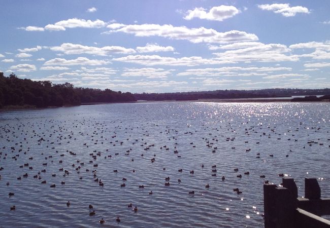 ジューンダラップ湖