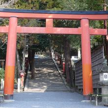 灯篭に張られた「月」と「日」の文字が気になります
