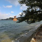 厳島神社を五重の塔と一緒に見ることができます。干潮のときはここから海を渡ります。