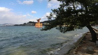 厳島神社を五重の塔と一緒に見ることができます。干潮のときはここから海を渡ります。