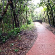 遊歩道