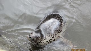 みんな、頑張ってる。