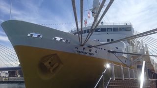 今でも現役みたい