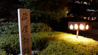 植え込みの中です