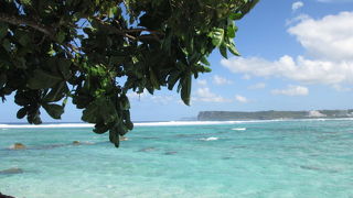 気軽に魚が見れるビーチです
