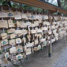 受験シーズンでしたので絵馬も沢山見られました