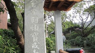 白萩と八角形の石畳が特徴です。