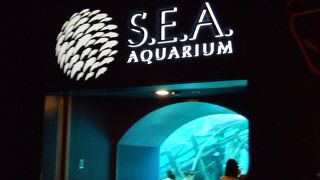 広い。順路がわかりにくい・・・