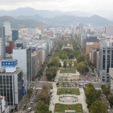 展望台から見た大通り公園